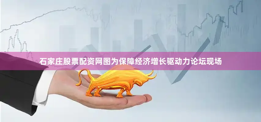 石家庄股票配资网图为保障经济增长驱动力论坛现场