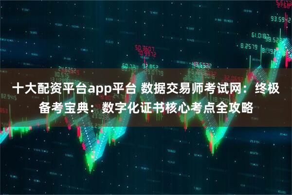 十大配资平台app平台 数据交易师考试网：终极备考宝典：数字化证书核心考点全攻略